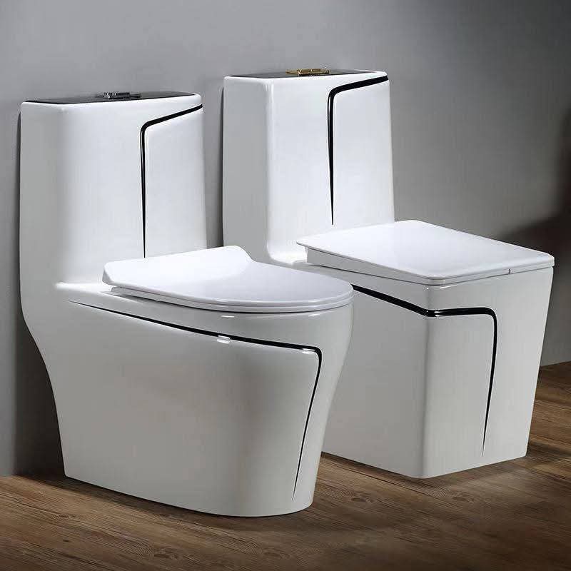 Luxury Toilet